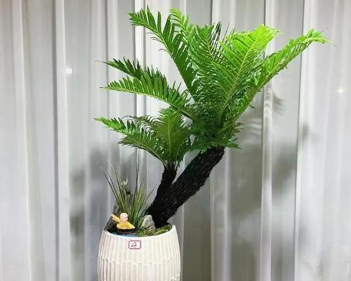 哪些植物的修复能力较强？它们的生长特点是什么？