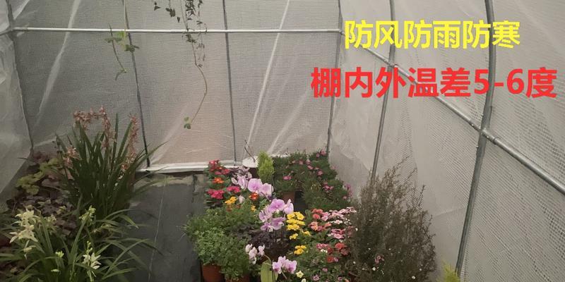 哈尔滨冬季花卉防冻棚有哪些？如何使用？