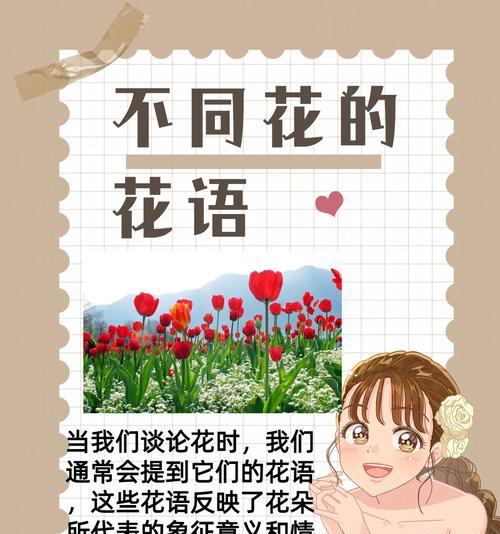 哪种花的花语代表爱情？爱情花语有哪些？