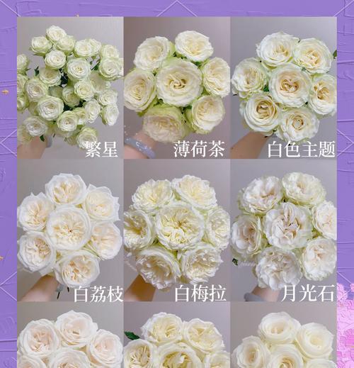 32朵破冰白玫瑰的含义是什么？它在社交场合中传达了哪些信息？