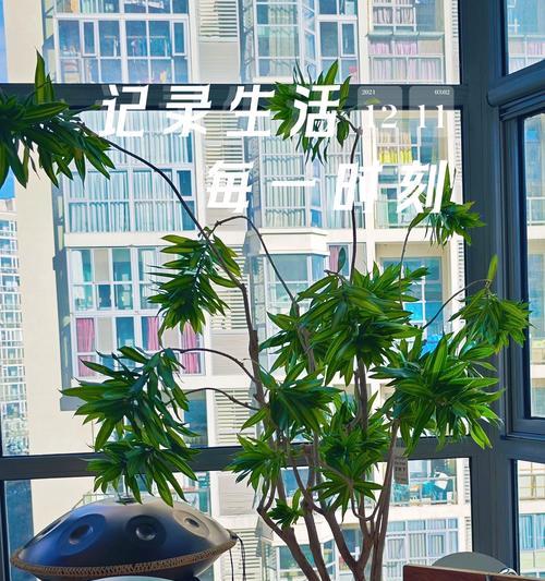 无限繁殖的植物怎么育苗？育苗过程中需要注意什么？