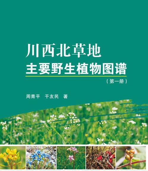 西北地区野外常见哪些植物？西北野外植物种类有哪些？