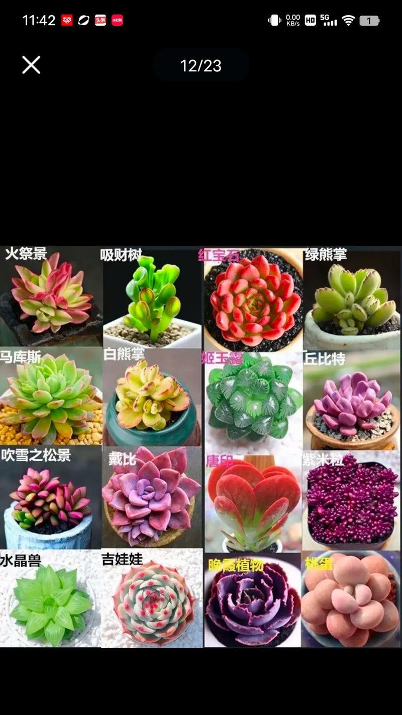 种子植物有真正的什么？种子植物的特性是什么？