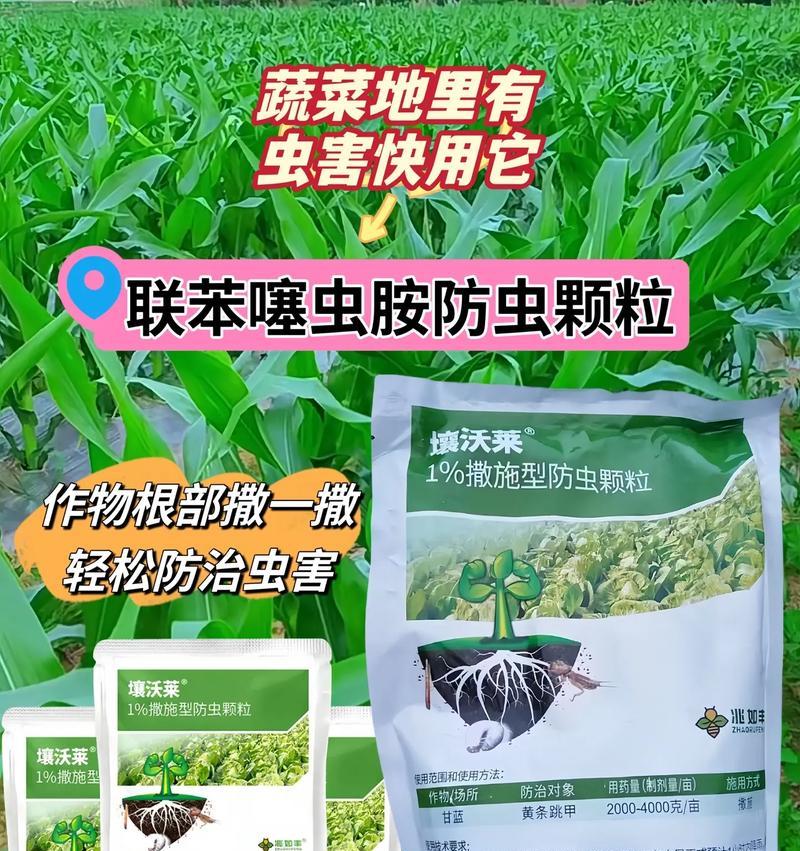 植物蔬菜常见的除虫方法有哪些？如何有效防治害虫？