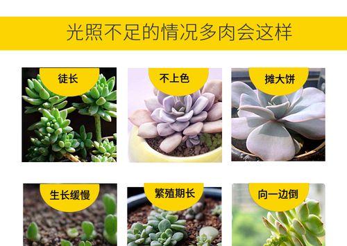 哪些花卉不适合组培种植？原因是什么？