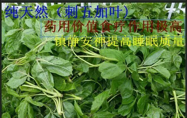无化肥农药的纯绿色产品代表什么？环保理念的体现？