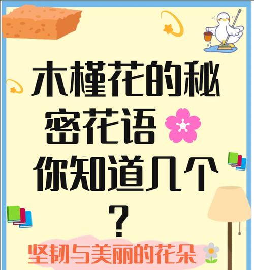 木槿花的花语代表什么？有哪些文化背景？