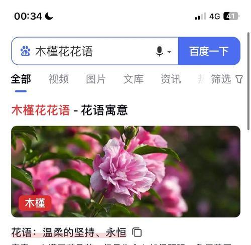 木槿花的花语代表什么？有哪些文化背景？