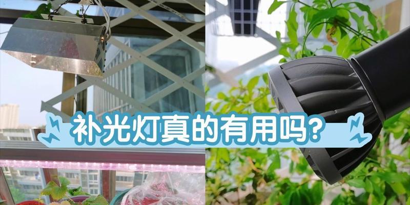 植物补光需要使用什么肥料？补光对植物生长有何影响？