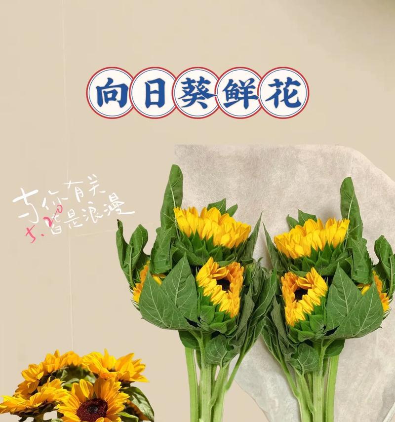 哪种花的花语最能表达心意？