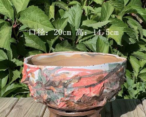 岩浆植物是什么？它有何特性？