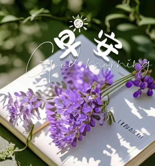 清晨送花有何寓意？送花的时间选择有何讲究？