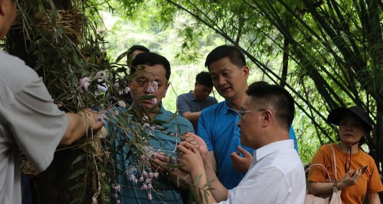 怎么收藏野外植物？收藏时应注意哪些事项？