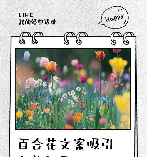 百合花开如雪代表了什么？它有何深层含义？