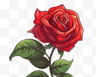11只手打红玫瑰花有何特殊含义？这种图案通常象征着什么？