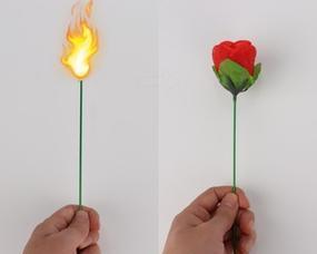魔术玫瑰花作为礼物的含义是什么？代表了什么情感？