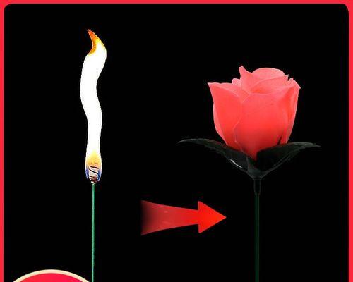 魔术玫瑰花作为礼物的含义是什么？代表了什么情感？