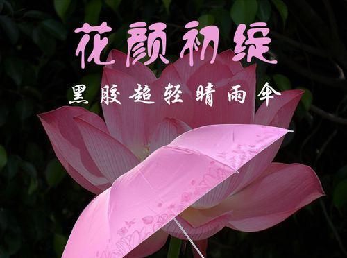 初绽百合花语是什么？送初绽百合代表什么情感？