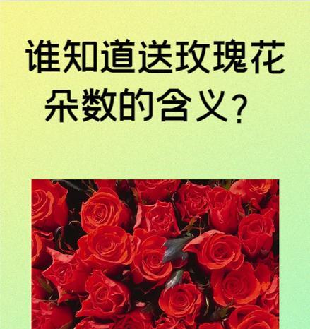 玫瑰花的寓意数字有哪些？