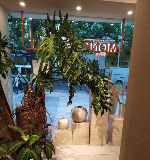 花店摆放花卉和植物有哪些禁忌？