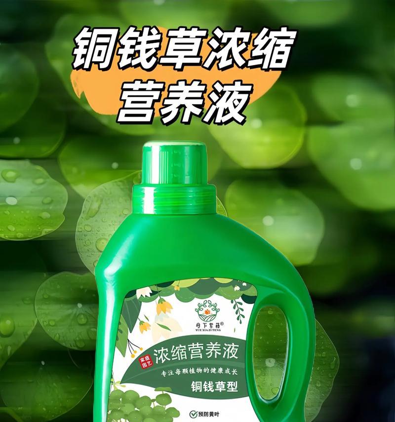 植物原液怎么使用效果最佳？搭配什么使用效果最好？