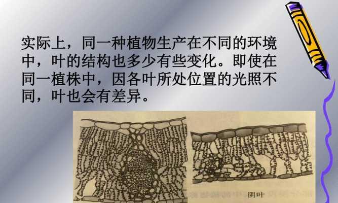 植物收集的简介内容包括哪些方面？如何进行有效的植物收集？