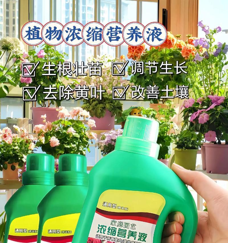 花卉酸性营养液有哪些？如何正确使用？