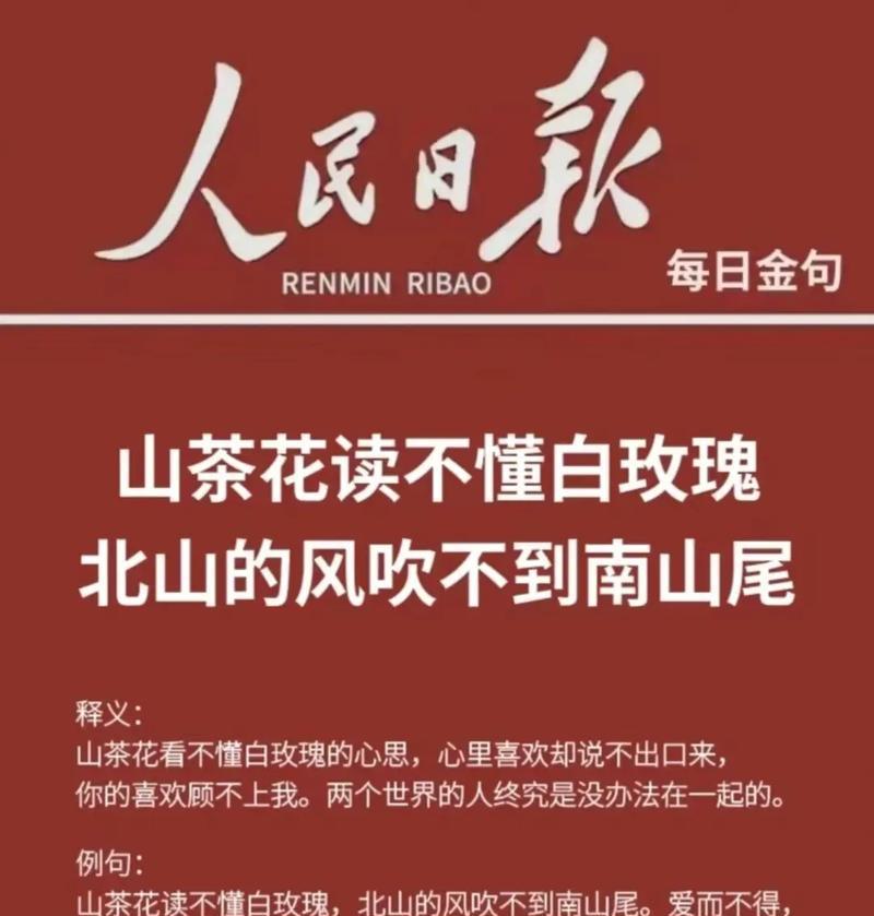野山花配不上白玫瑰是什么意思？它的含义是什么？