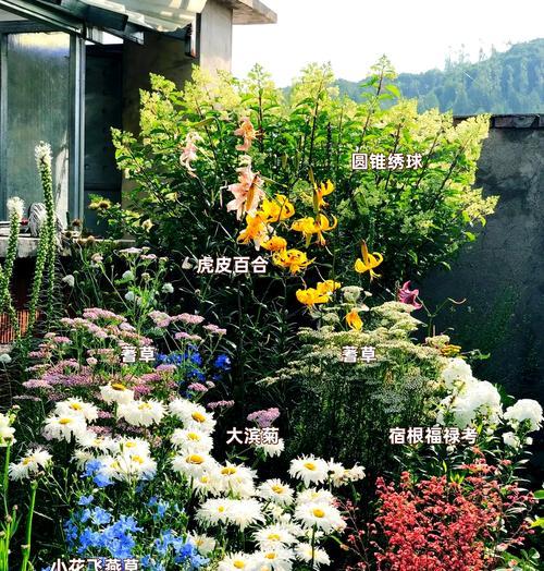 植物冬天如何存活？需要哪些条件？
