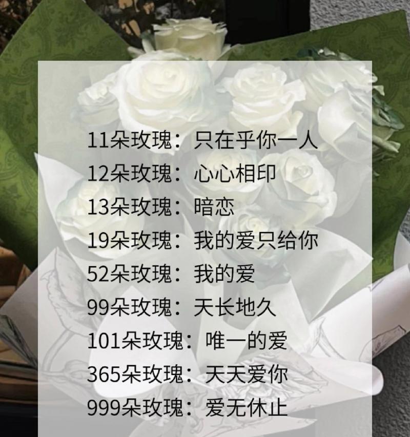 不同颜色玫瑰花语分别代表什么？