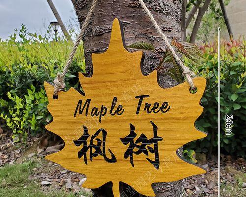哪些植物适合进行刻字？刻字植物的选择标准是什么？