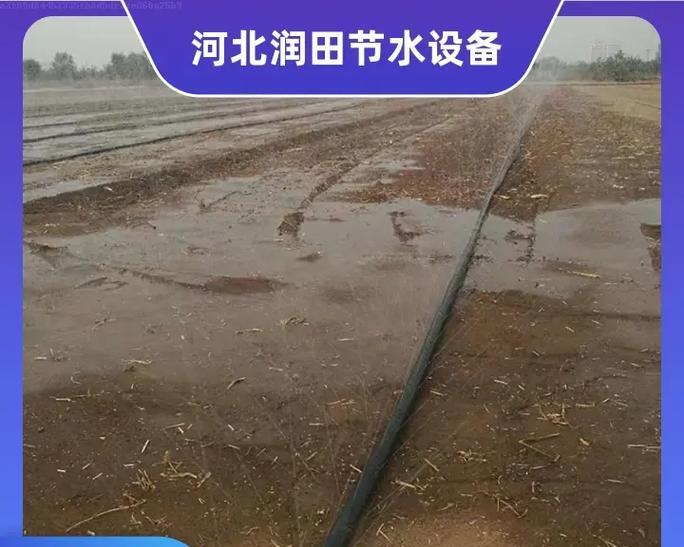 花卉大棚滴灌管的作用有哪些？这种设备如何提高种植效率？