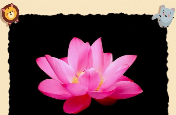 桂花流水的寓意是什么？桂花流水象征着什么？