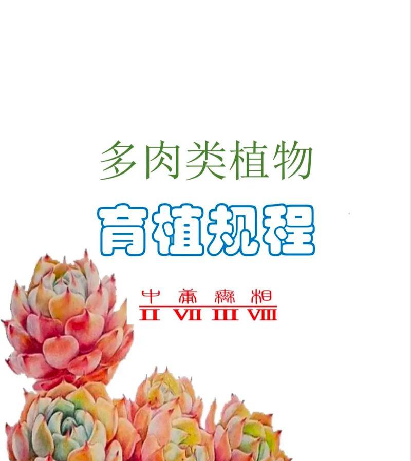 肉肉植物具体指什么？肉肉植物的含义是什么？