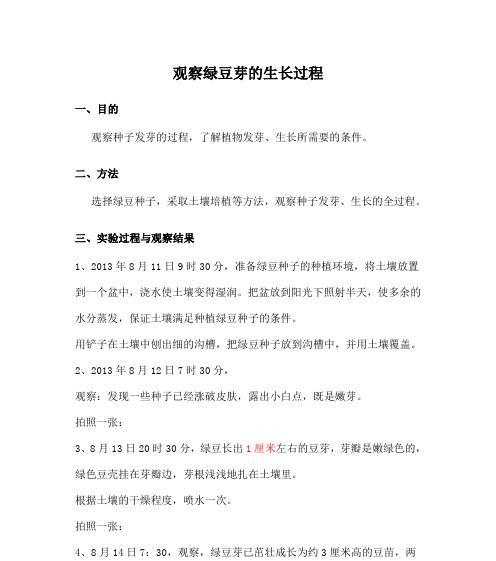 黄种子植物播种的正确步骤是什么？