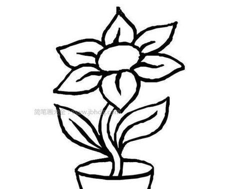 福气植物简笔画怎么画？有哪些步骤？