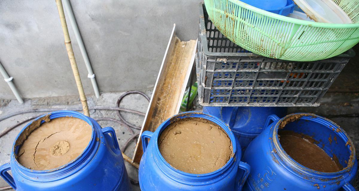 植物废油回收后如何处理？有哪些环保处理方法？