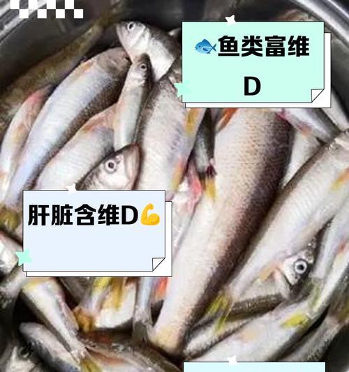 什么植物含维生素d？哪些植物富含维生素d？
