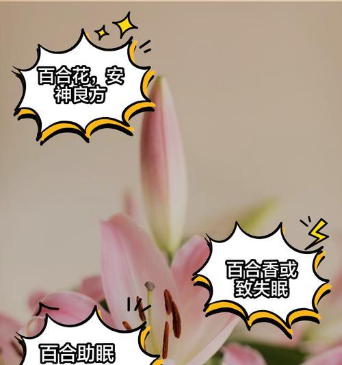 元旦和百合什么意思？百合花在元旦期间有何特殊含义？