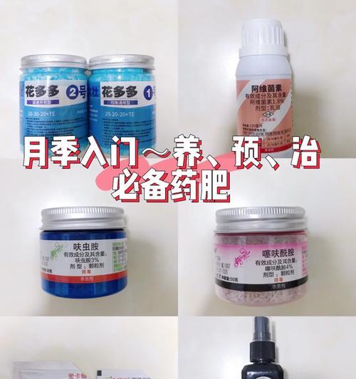 花卉杀虫与施肥的正确顺序是什么？
