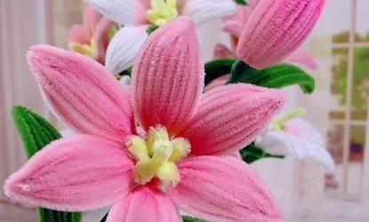 手工百合花送给男朋友代表什么？这种礼物有何深意？