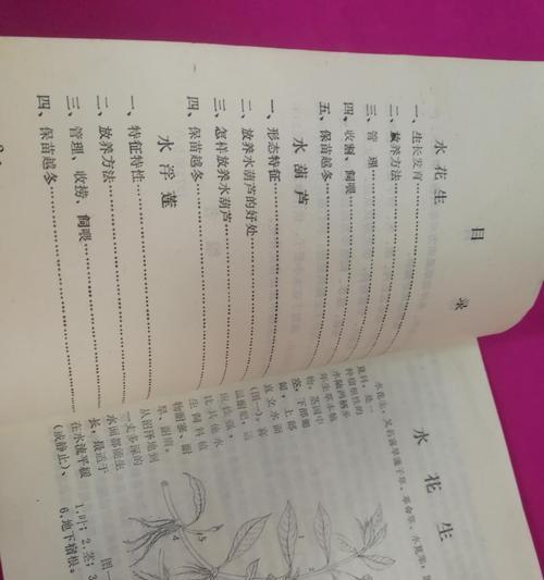 下沉植物饲料怎么做？如何自制营养丰富的植物饲料？