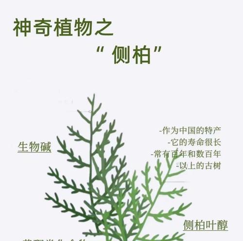 有哪些植物是通过血液培养的？