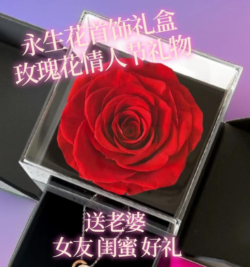 粉色玫瑰干花饰品寓意什么？粉色玫瑰干花饰品的象征意义是什么？