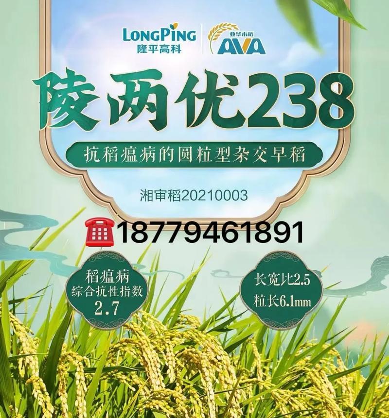 二系杂交水稻技术的含义是什么？