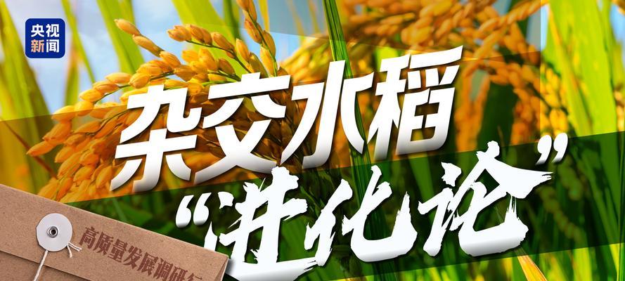 二系杂交水稻技术的含义是什么？