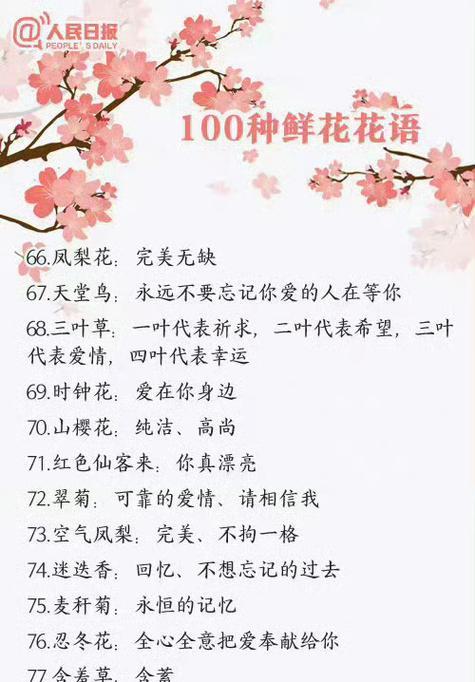 哪种花的花语是信任？它在送花时传达了怎样的情感？
