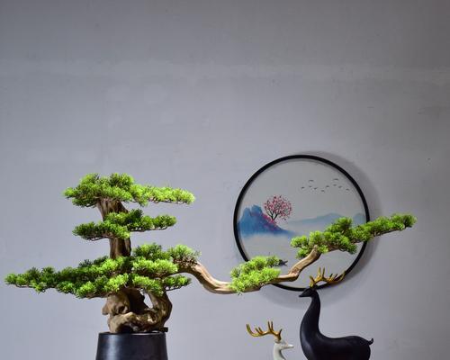 玄关处摆放哪种植物最合适？