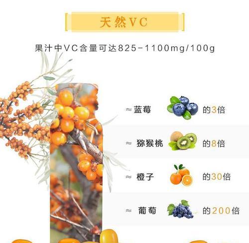 如何撰写一份优质的沙棘树种植简报？沙棘树种植简报包含哪些要点？