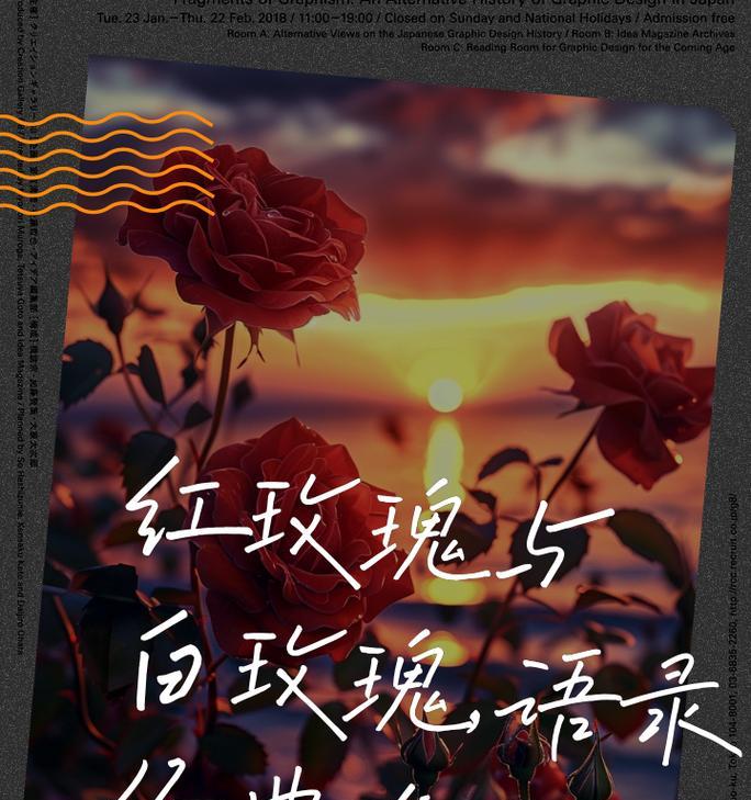 红玫瑰与白玫瑰组合送男生有何含义？